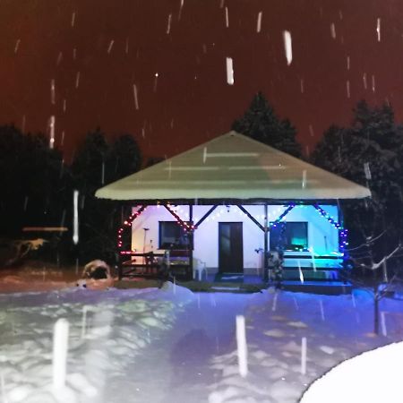 Limpedea Green House Baia Mare Bagian luar foto