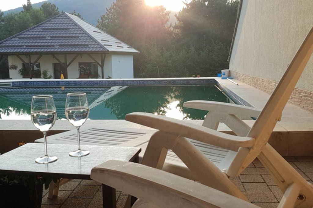 Limpedea Green House Baia Mare Bagian luar foto