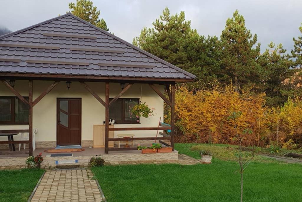 Limpedea Green House Baia Mare Bagian luar foto