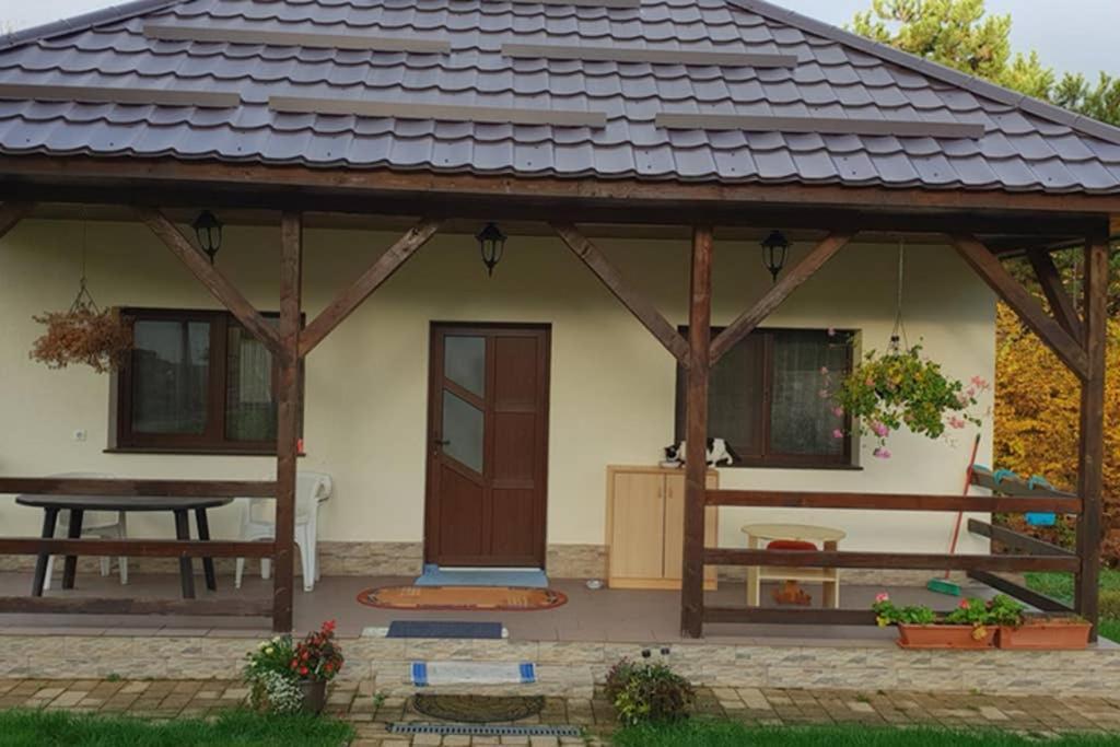 Limpedea Green House Baia Mare Bagian luar foto