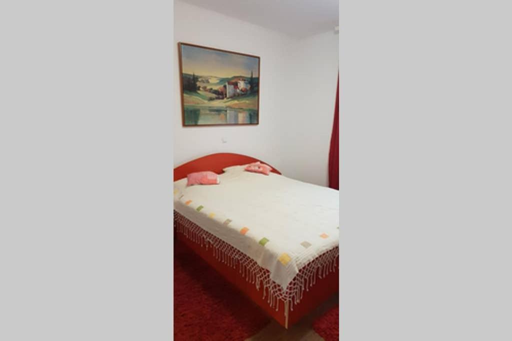 Limpedea Green House Baia Mare Bagian luar foto