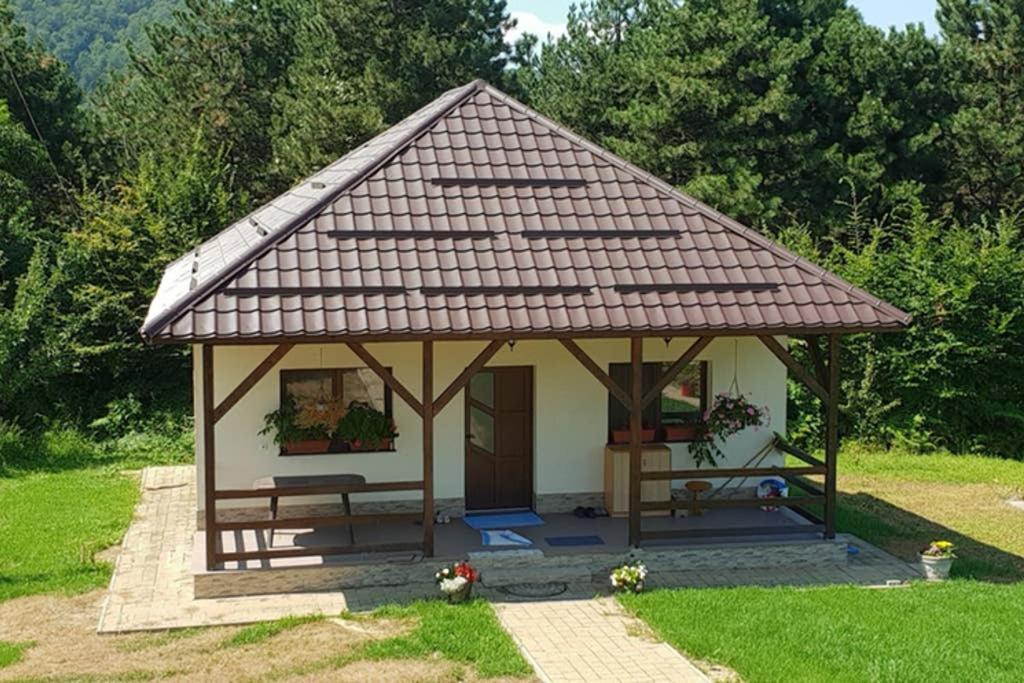 Limpedea Green House Baia Mare Bagian luar foto