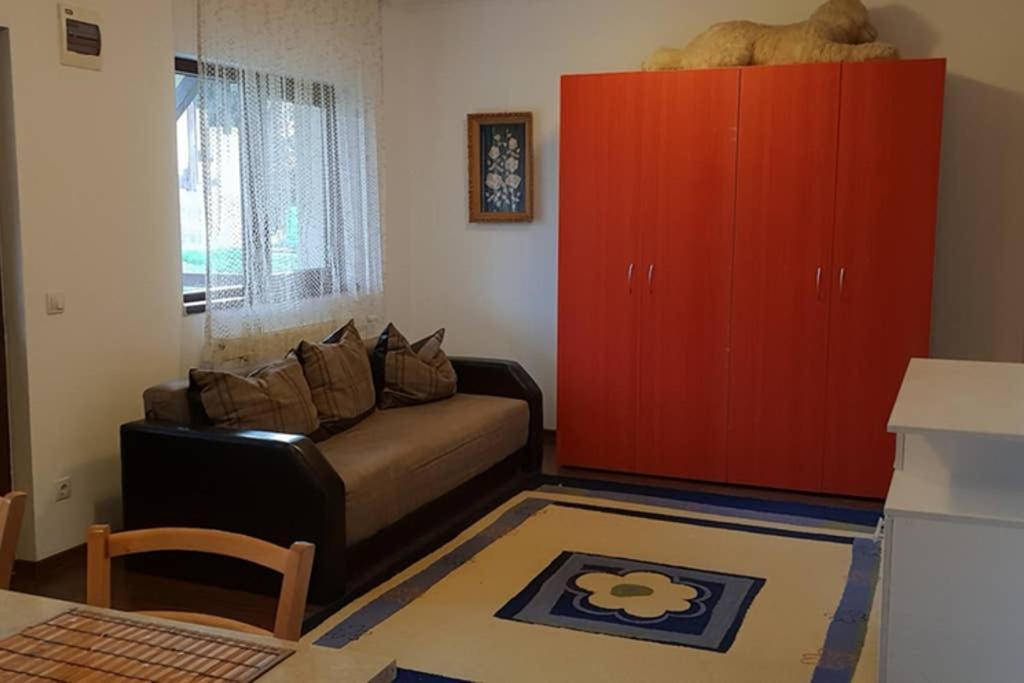 Limpedea Green House Baia Mare Bagian luar foto