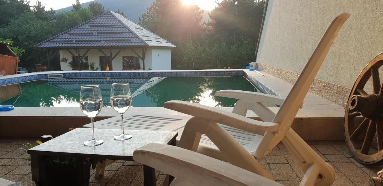 Limpedea Green House Baia Mare Bagian luar foto