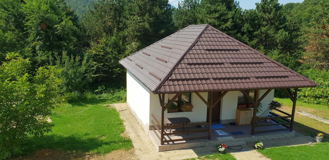 Limpedea Green House Baia Mare Bagian luar foto