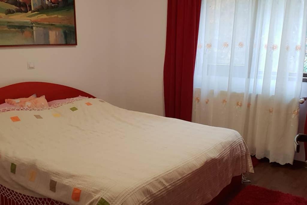 Limpedea Green House Baia Mare Bagian luar foto