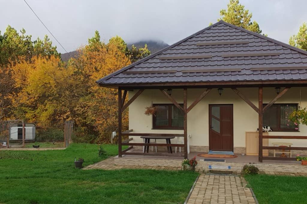 Limpedea Green House Baia Mare Bagian luar foto