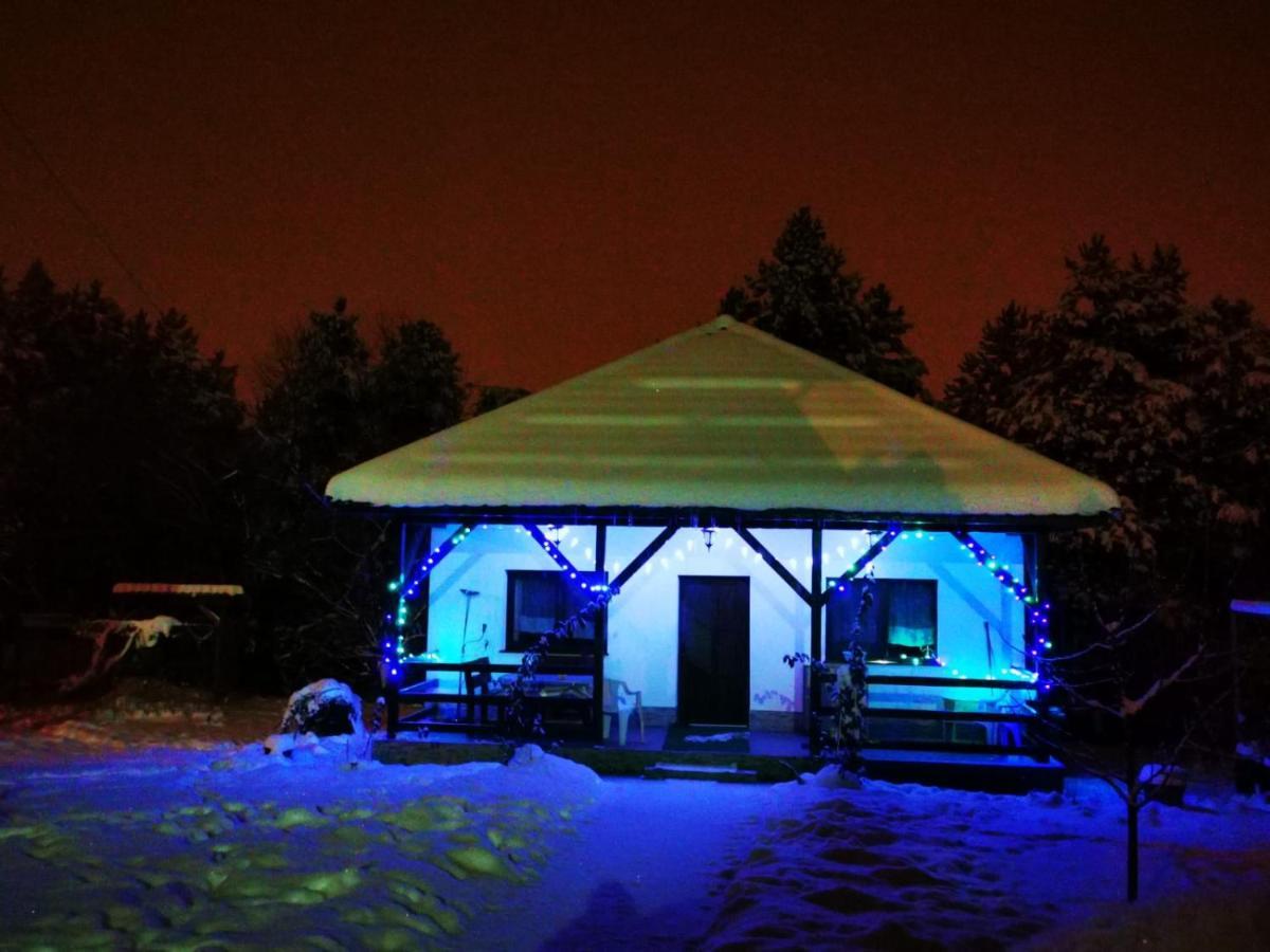 Limpedea Green House Baia Mare Bagian luar foto