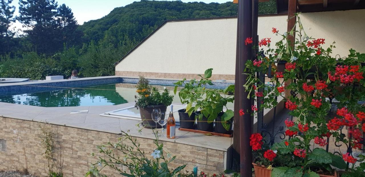 Limpedea Green House Baia Mare Bagian luar foto